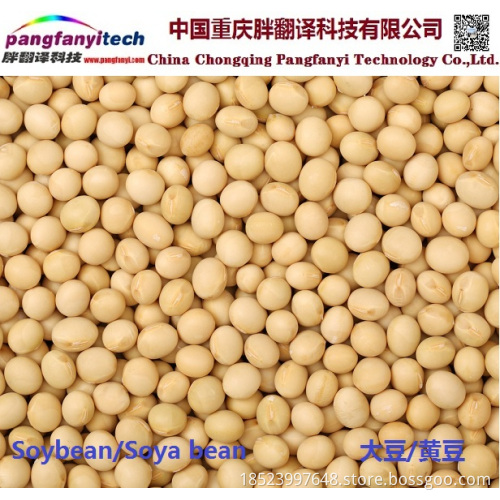 Healthy Nutritious Self-planted Dried Soybean